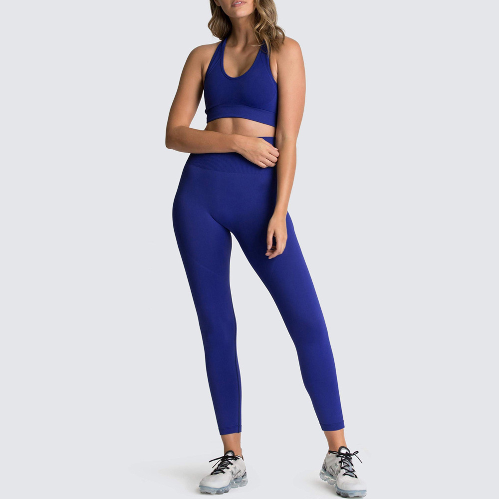 V&J Two Piece Outfits Seamless High Waist Leggings Yoga Crop Tops